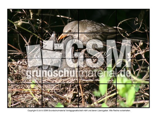 Puzzle-Amsel-3.pdf